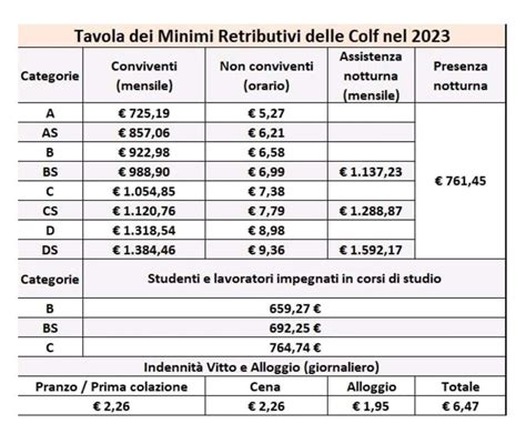 paga oraria colf in nero 2023